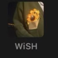 WiSH